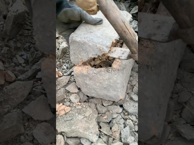 #metaldetecting #nature #treasuretrove #metaldetector #snake #wildlife #treasure