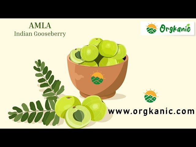 Nellikai Amla Gooseberry Legiyam | WWW.ORGKANIC.COM | #amlacandy #organicproducts