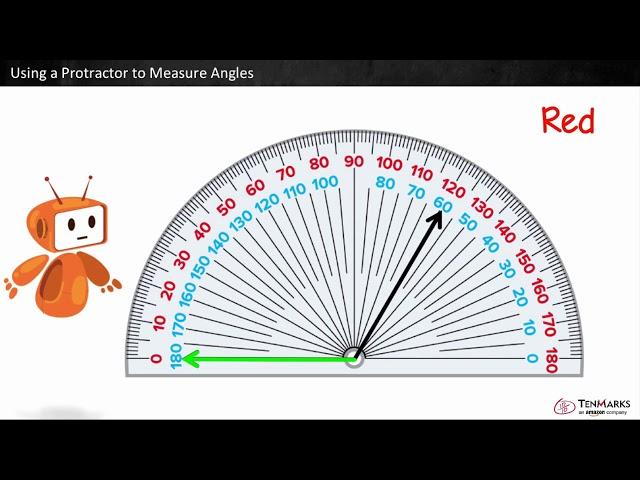 Using a Protractor to Measure Angles: 4.MD.6