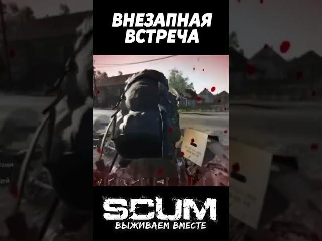 ВНЕЗАПНАЯ ВСТРЕЧА #pvp #scum #скам #выживание #scumpvp #shorts