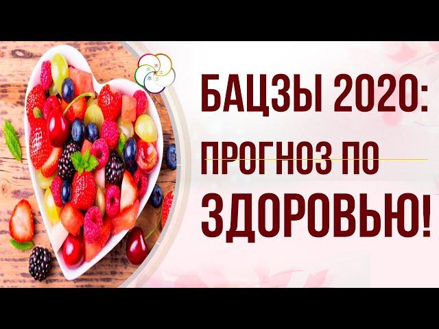 БАЦЗЫ 2020: ПРОГНОЗ ПО ЗДОРОВЬЮ на 2020 год