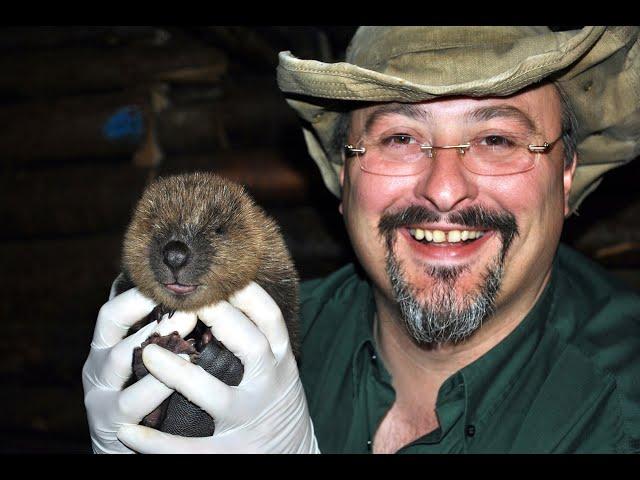 The seals and beavers that will rewild Sussex, a talk by Peter Smith