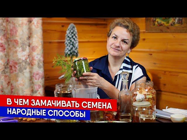 В чем замачивать семена - народные способы