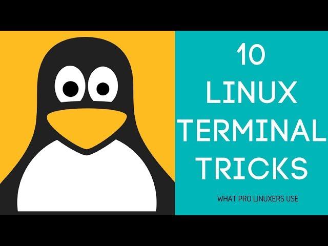 Linux Terminal Tricks: Use Linux Like a Pro With These Commands and Shortcuts