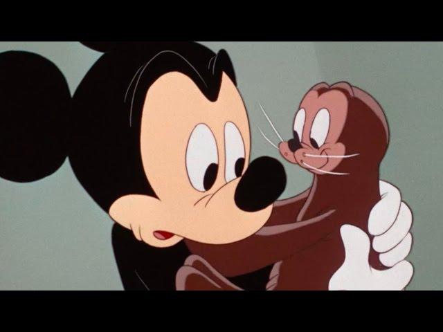 Mickey and the Seal | A Classic Mickey Short | Have A Laugh