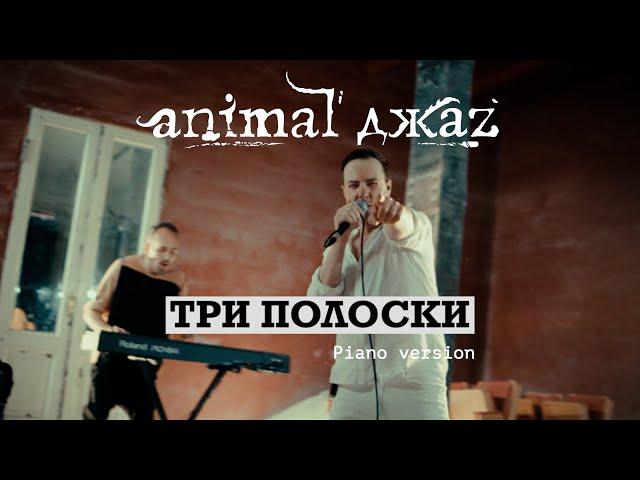 Animal ДжаZ — Три полоски (Piano version, Live, 2024)