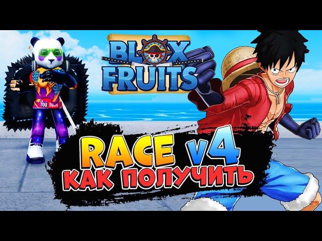 БЛОКС ФРУТС КАК ПОЛУЧИТЬ РАСУ v4  Blox Fruits RACE v4 - Роблокс Ван Пис