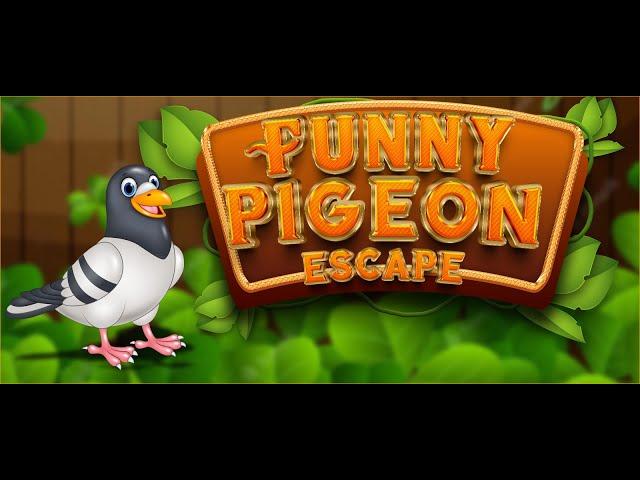 G4K Funny Pigeon Escape Game Walkthrough