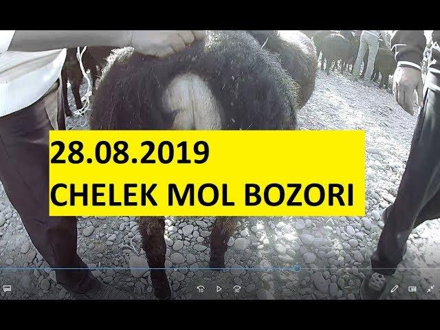 MOL BOZOR NARXLARI. CHELEK MOL BOZORI 28.08.2019 (самарканд мол бозор 2019)