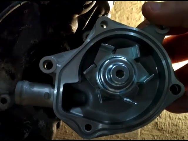 Замена водяной помпы на Honda Steed. Ставим помпу, собираем и запускаем мотоцикл.