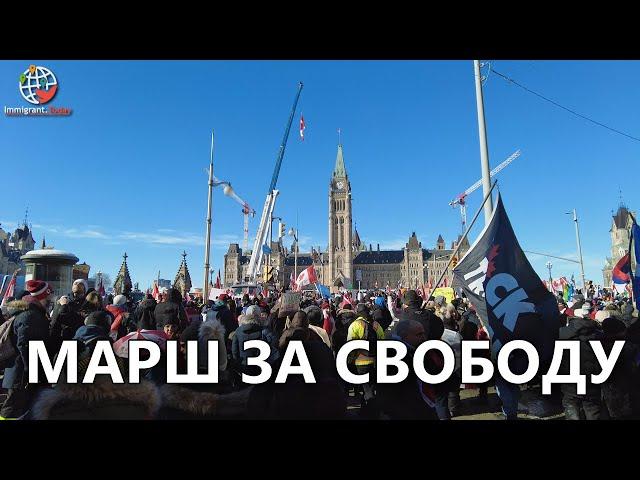 Конвой свободы Канада: толпы протестующих добрались до Оттавы