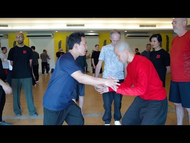 Liang De Hua - Yang Style Taiji Quan • The Martial Camp 2020