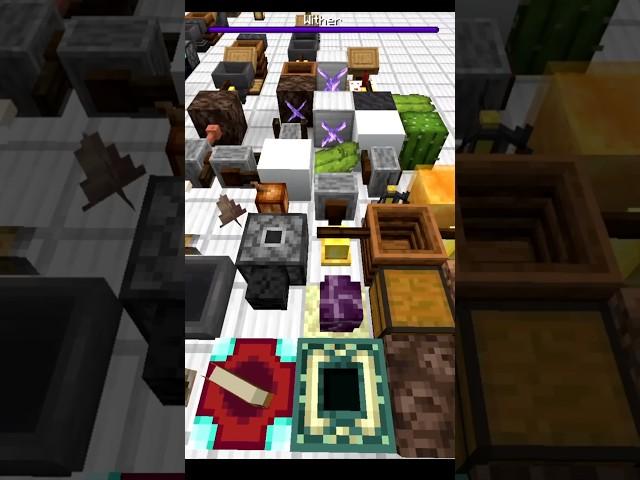 Hidden in Minecraft for 6 YEARS