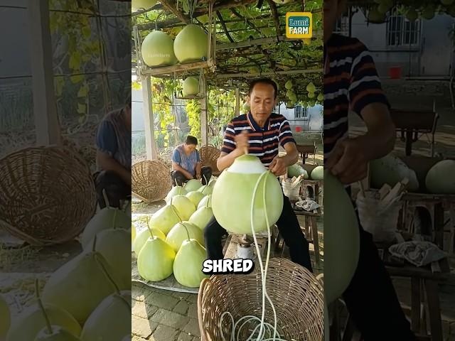 Why do the Chinese shred bottle gourds into strands? #bottlegourd #shorts