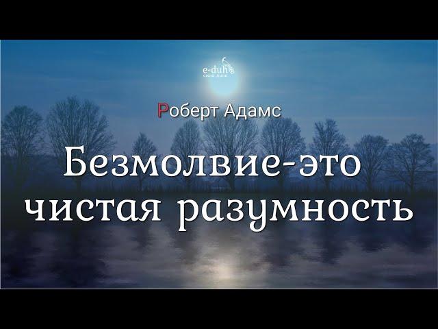 Роберт Адамс - Безмолвие - это чистая разумность [Nikosho]