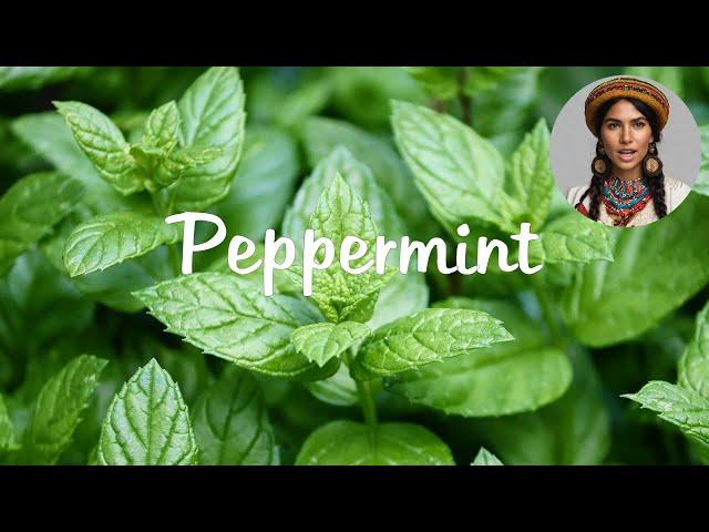 Peppermint: Natural Relief for Digestion, Pain, Headaches, IBS, Respiratory & Oral Health and More