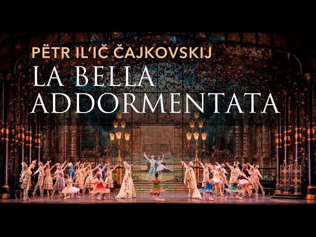 La bella addormentata