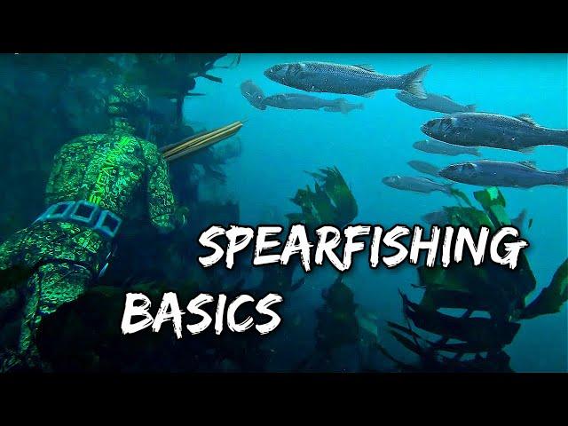 SPEARFISHING FOR BEGINNERS - Shore Diving Edition