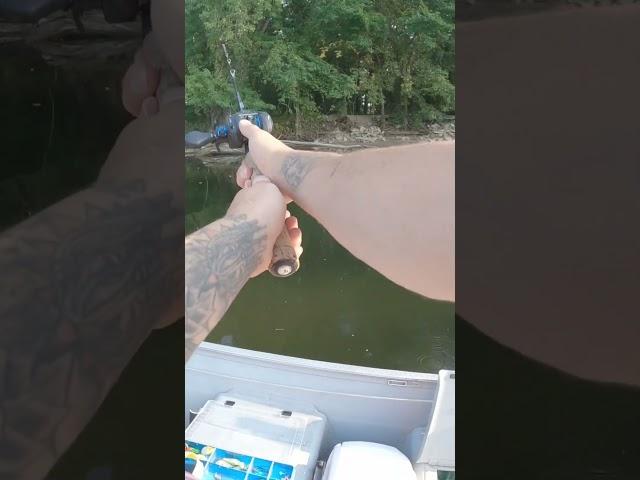 Should I buy him a beer? #fishing #river #fail #trending #water #grandriver #grandrapids #michigan