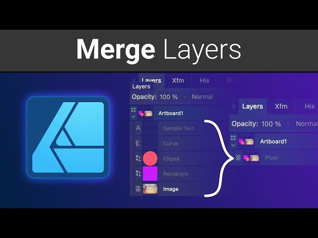 Affinity Designer 2.5 How to Merge Layers?