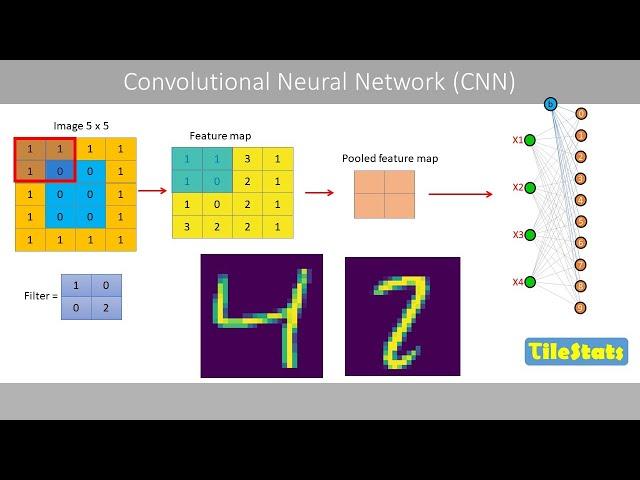 Convolutional Neural Network (CNN) – explained simply