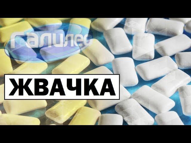 Галилео | Жвачка  [Chewing gum]