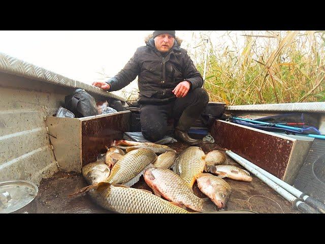 ВОТ ЭТО РЫБАЛКА! ПОЛНАЯ ЛОДКА ОГРОМНЫХ КАРАСЕЙ, САЗАНОВ. Рыбалка на сазана и огромного карася.