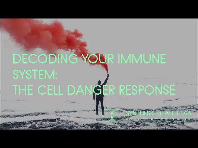 Decoding Your Immune System: The Cell Danger Response (CDR)