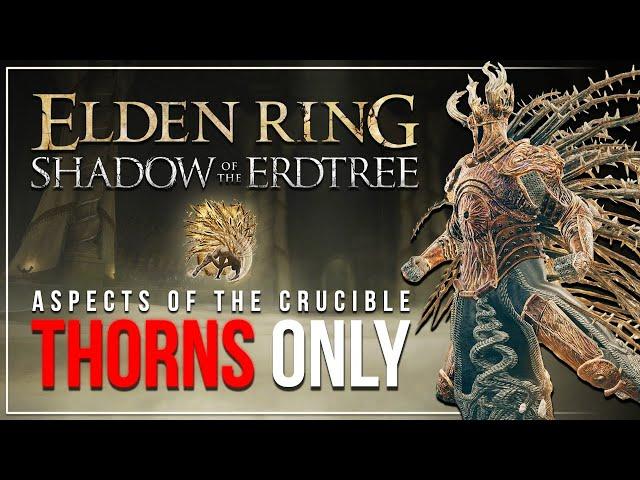 Can I Beat Elden Ring as a PORCUPINE?