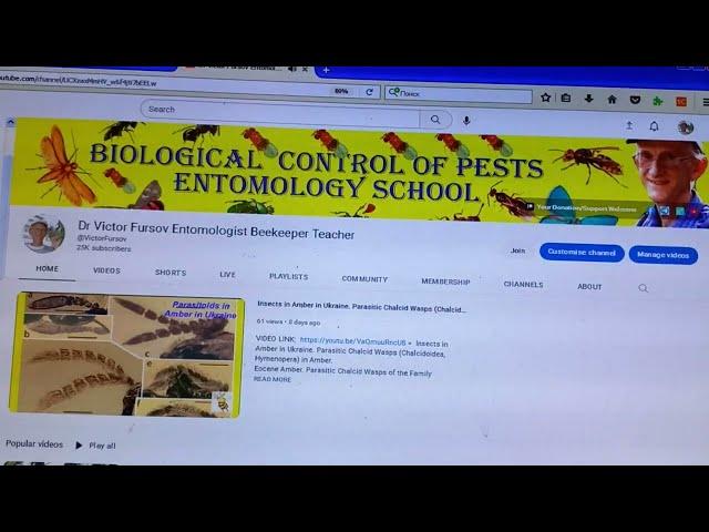 Dr Victor Fursov YouTube Channel Teaser. Channel About Entomology & Beekeeping. Welcome to Subscribe