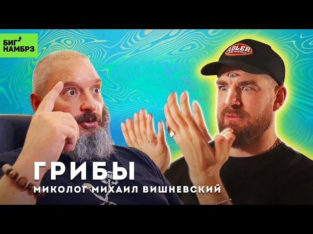 Грибы нас всех погубят? | МИКОЛОГ МИХАИЛ ВИШНЕВСКИЙ (часть 1)