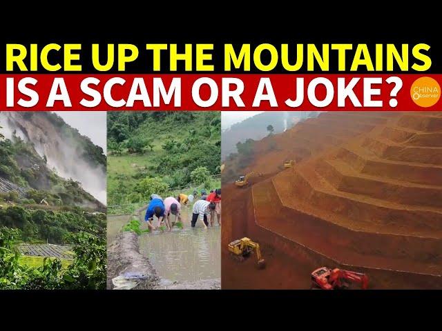 “Rice up the Mountains” Is a Scam or a Joke? | Food Crisis in China