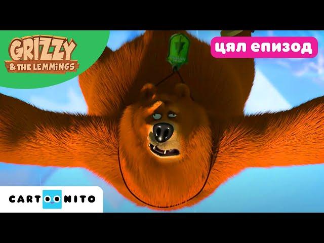 Гризи и лемингите | Мечок в безтеглоност (цял епизод) | Cartoonito
