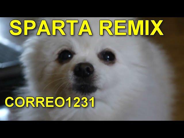 gabe the dog has Sparta DreamPad 1200 Edition Remix