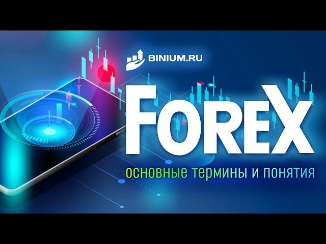 Форекс: основные термины и понятия. Гайд от Binium.ru