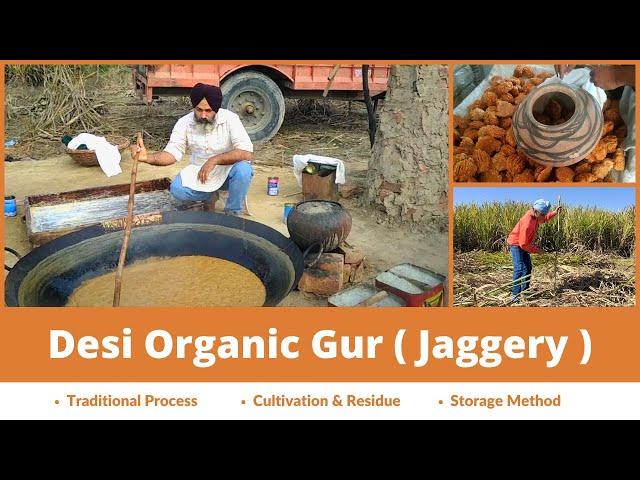 Desi Organic Gur | Jaggery Making