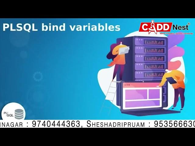 PLSQL IT Training Institute in Bengaluru | CADD Nest