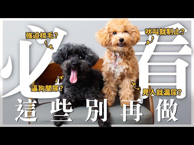 狗狗不會懂犯錯！這些別再做~ ft.妞妞許寀菁｜熊爸估狗