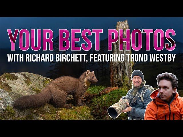 YOUR BEST PHOTOS || /w @RichardBirchett feat. @trondwestby|| Wildlife, Fox, Owl