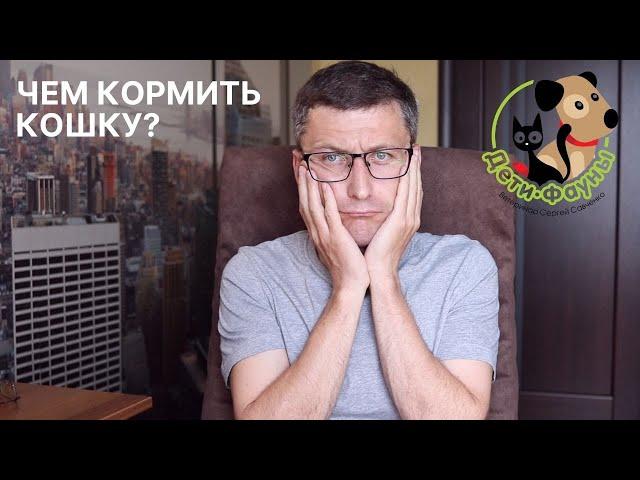 А можно ли кошке давать кефир, йогурт, сметану, сливки? Кисломолочные продукты 8 вопросов