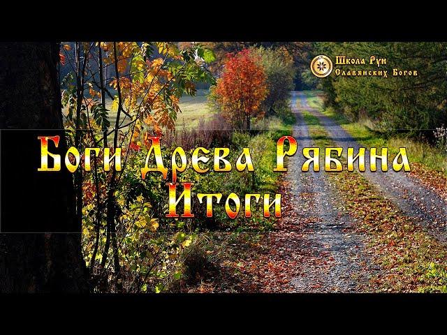 Боги Древа Рябина - Итоги. [Ведзнич]