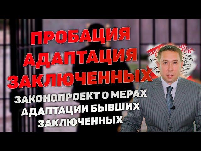 Пробация (адаптация) заключенных, освободившихся из мест лишения свободы. Законопроект.