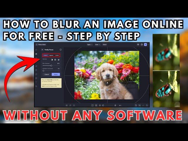 How to Blur an Image Online for Free -  Without Any Software