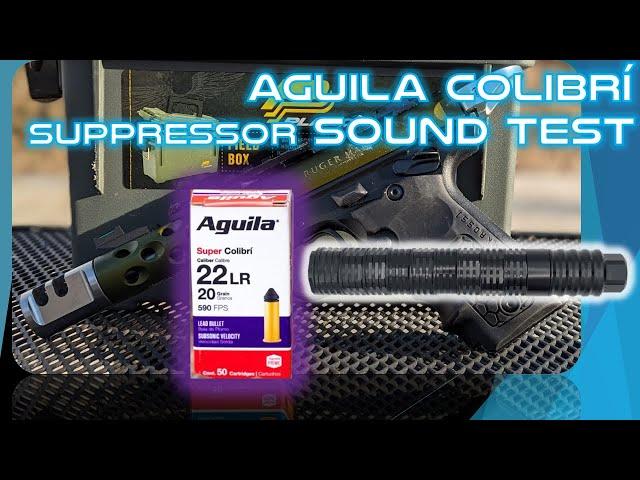 Aguila Colibri:  Suppressed Sounds at Distance with Ruger 10/22 and Mark IV