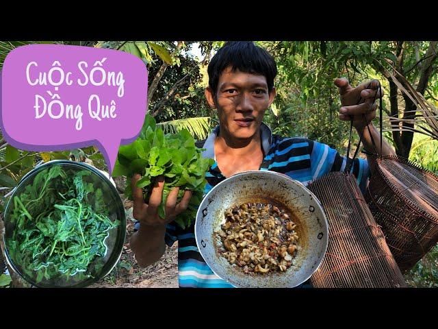Cù lao Dung Vlogs | Đặt Lợp Cá Bóng Dừa Về Kho Xã Ớt #5