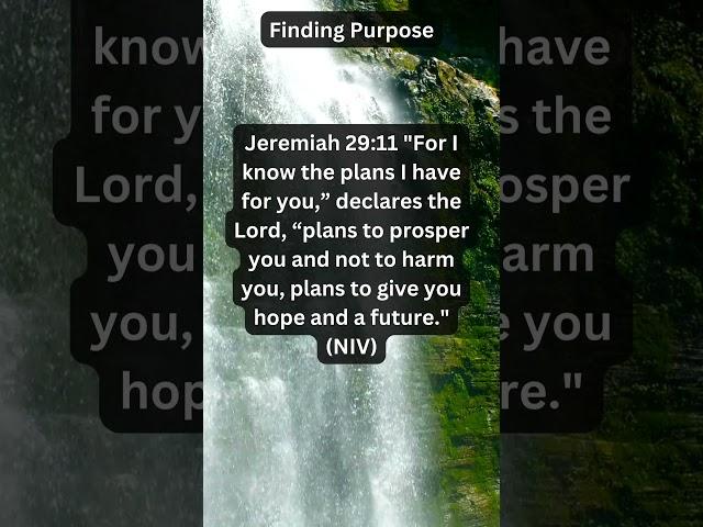 "Finding Purpose (God's Plan for Your Life): Jeremiah 29:11"
