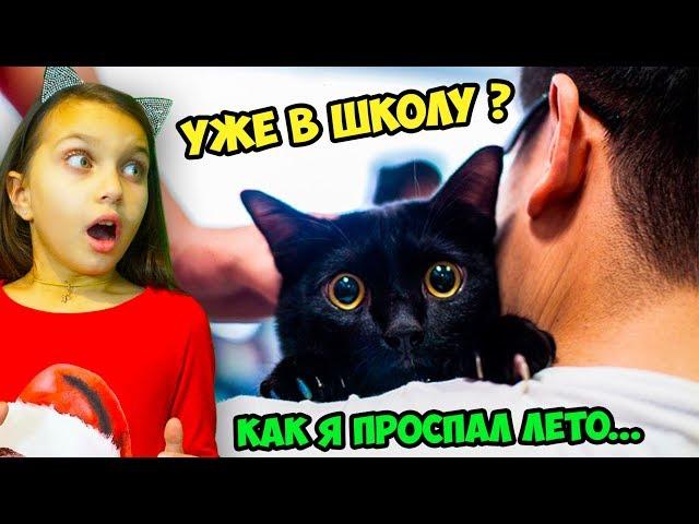 КОТЫ и СОБАКИ ИДУТ в ШКОЛУ! НЕ ЗАСМЕЙСЯ ЧЕЛЛЕНДЖ КАК я ПРОВЕЛ ЛЕТО! Попробуй не засмеяться Валеришка