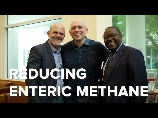 Feed Strategies to Reduce Enteric Methane