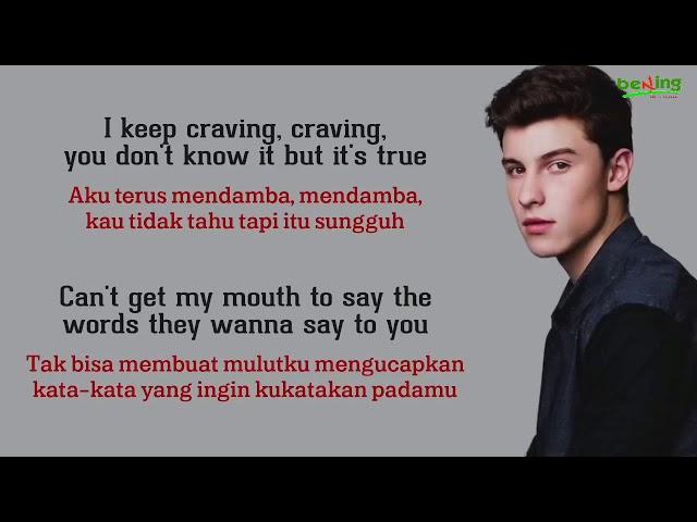 Shawn Mendes - Imagination - Lirik dan Terjemahan