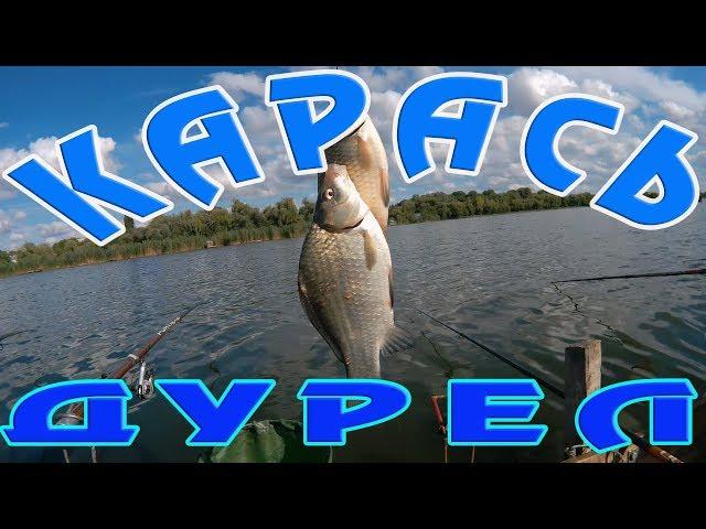 Ловля карася на мою мастырку. Карась просто дурел.